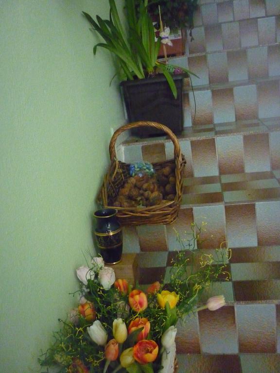 BřeclavMilannaアパートメント エクステリア 写真